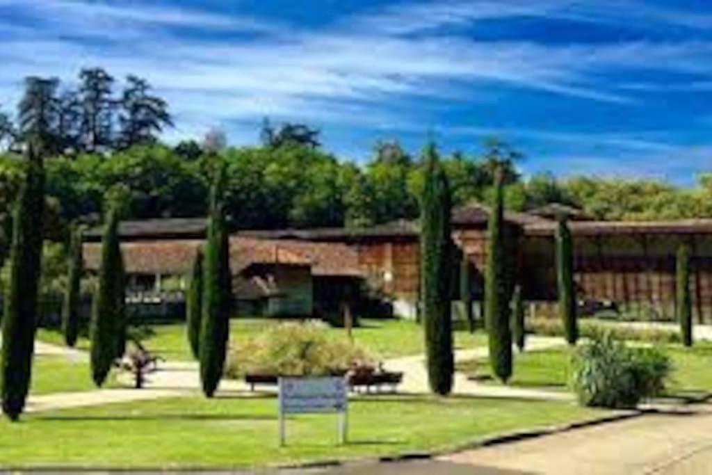 Studio 2 Lits Barbotan Les Thermes Cazaubon Εξωτερικό φωτογραφία